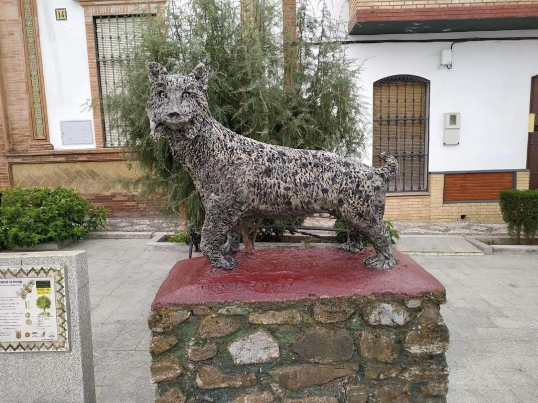 Rural An Ca La Abuela Pilar * El Real de la Jara